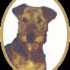 Airedale-Terrier-Zuchtstätte  "vom Goetschetal"